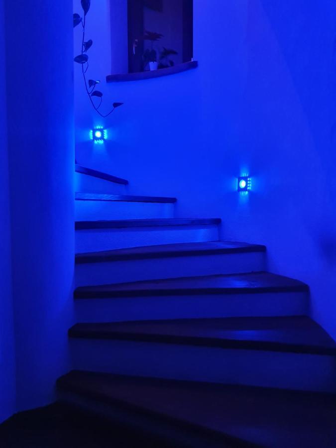 Villa La Tour 누스 외부 사진