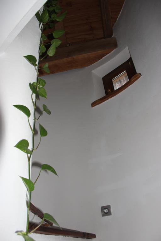 Villa La Tour 누스 외부 사진